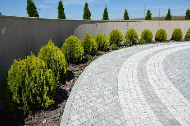 Best Affordable Driveway Paving  in Balch Springs, TX